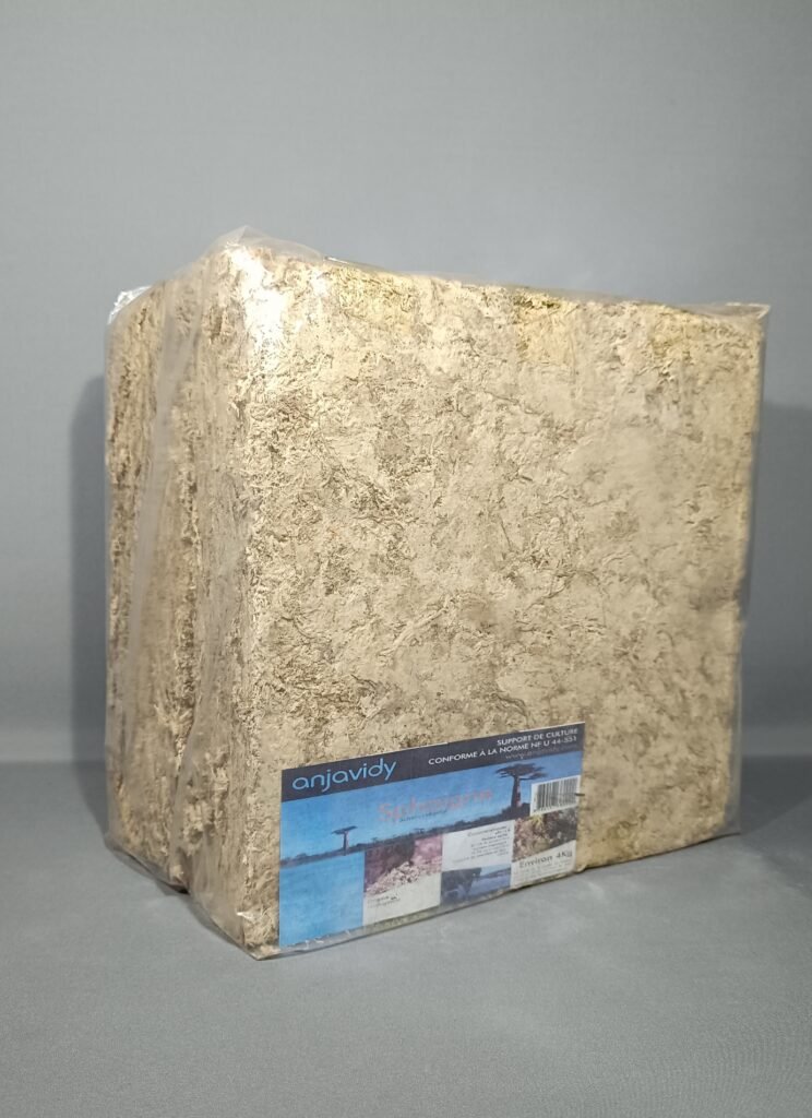 sphaigne-madagascar-4kg