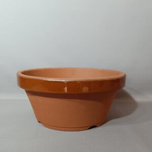 Pot de culture bonsaï