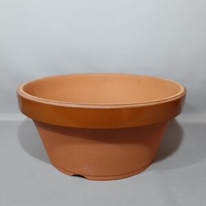 Pot de culture Bonsaï
